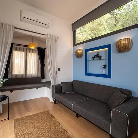 Villa With Pool Surrounded By Nature In Fethiye