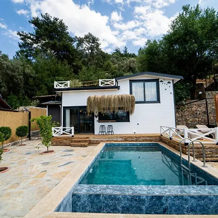 Villa With Pool Surrounded By Nature In Fethiye
