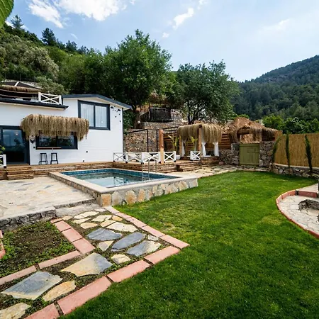 Villa With Pool Surrounded By Nature In Fethiye *